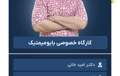کارگاه بایومیمتیک