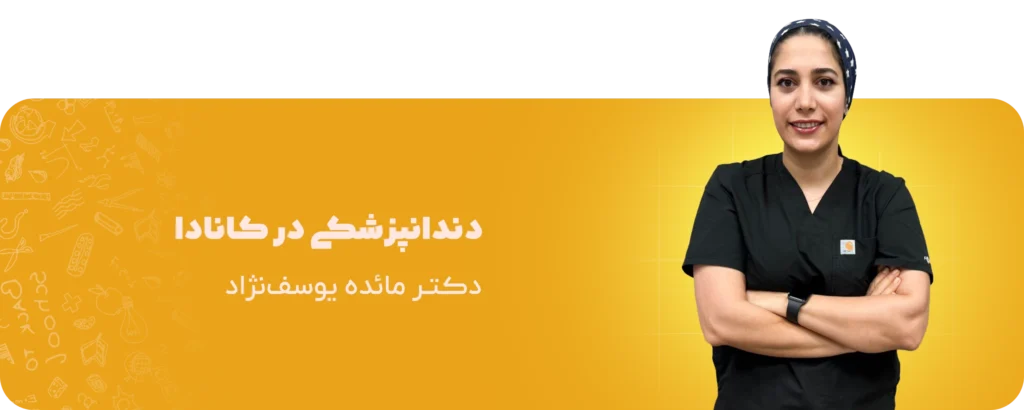 آکودنت آکادمی | از یادگیری تا تدریس