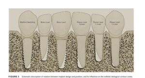 آکودنت آکادمی | از یادگیری تا تدریس آکودنت آکادمی | از یادگیری تا تدریس